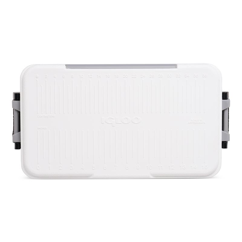 Igloo Marin 25qt