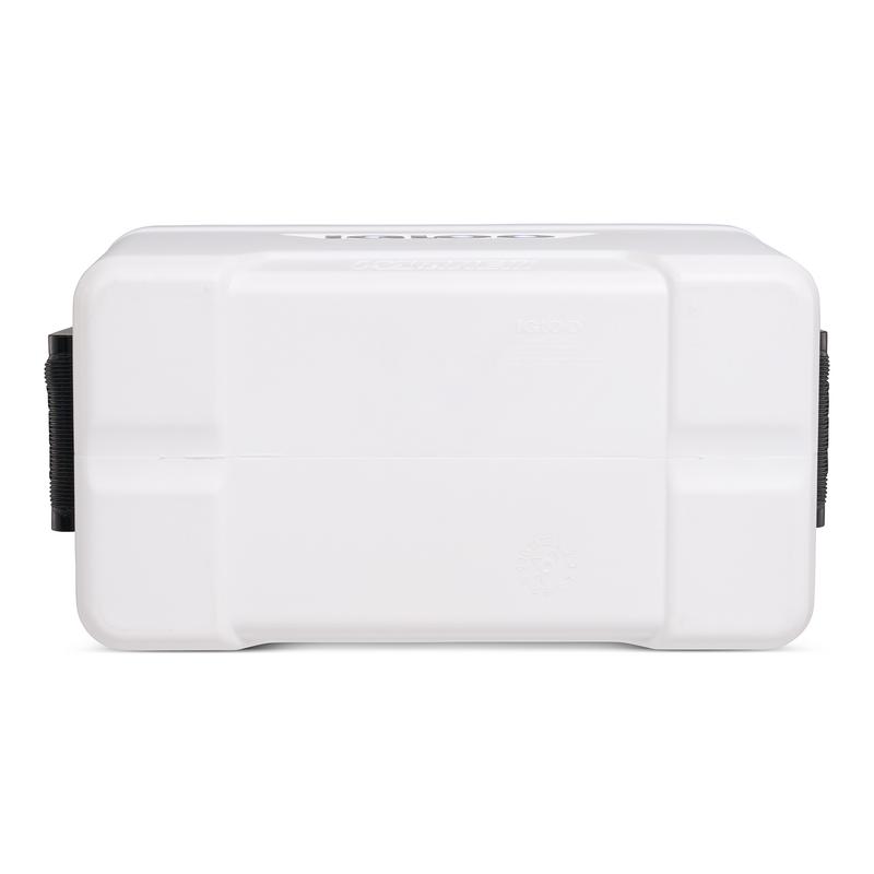 Igloo Marin 25qt