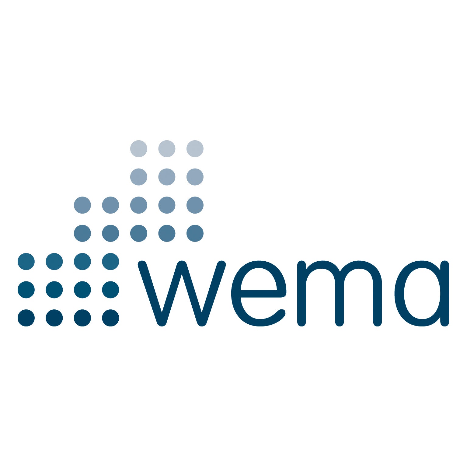 Brand Logotype